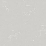 Star Holic