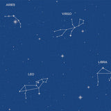 Star Holic