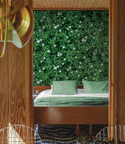 Jasmine-Garden-Wallpaper-Dubai
